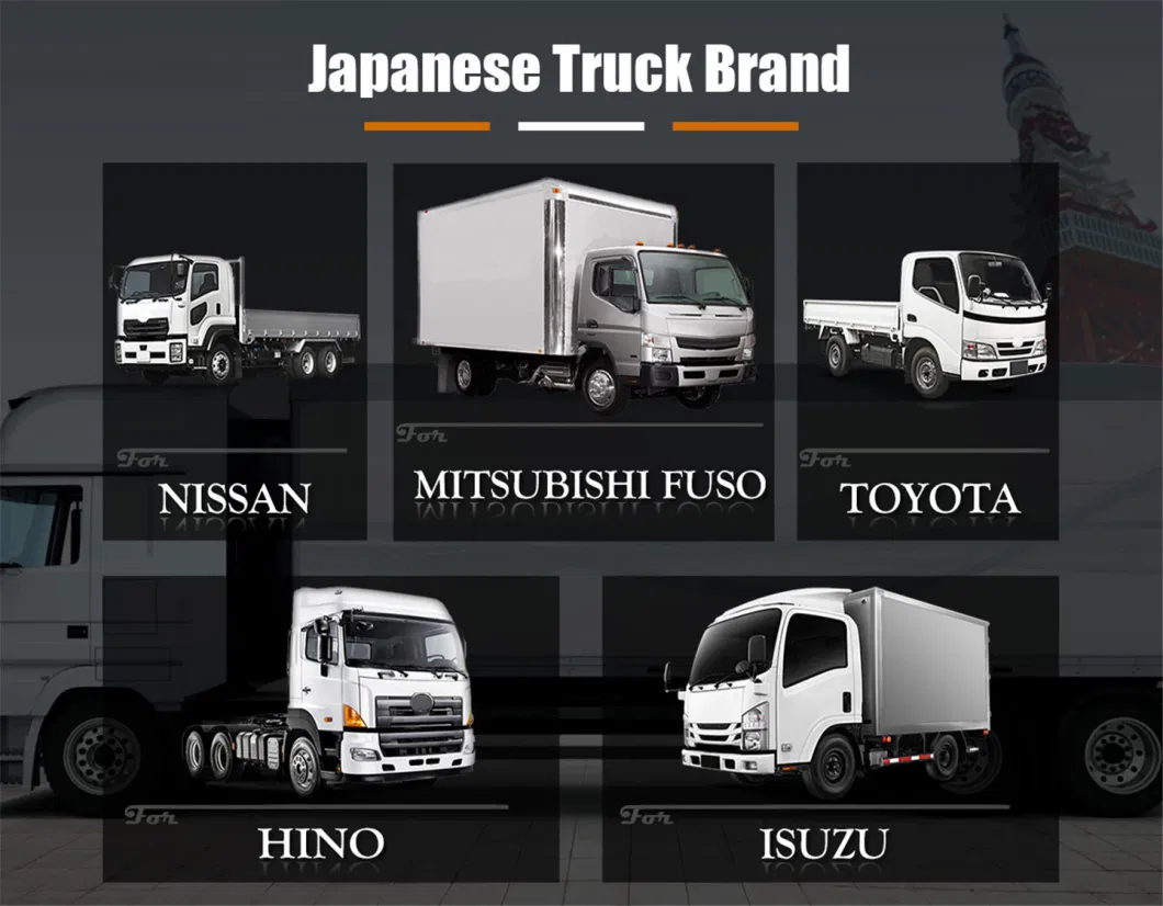 Engine / Brake / Chassis/ Body /Transmission/Electrical/Truck Spare Parts for Hino/Isuzu/ Mitsubishi/Hyundai Mercedes-Benz/Volvo/Man/Scania/Renault/Daf/Iveco