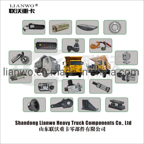 Mining Heavy Duty Truck Part for Tonly Tl875 Tl875b Tl125 FAW Jh6 Lgmg Mt86 Mt86h Cmt96 Rt136 Sinotruk HOWO 70mining 371 Sitrak T7h Shacman F3000 Spare Parts 