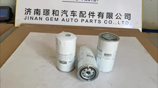Air Filter/Oil Filter/ Fuel Filter for Lgmg Sany Sinotruk Tonly Shacman Mining Truck Weichai Engine Cmt96 Cmt105 Mt105 Truck Spare Parts 