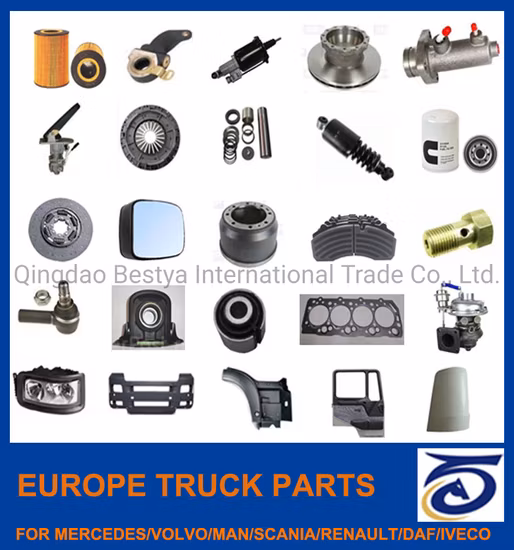Engine / Brake / Chassis/ Body /Transmission/Electrical/Truck Spare Parts for Hino/Isuzu/ Mitsubishi/Hyundai Mercedes