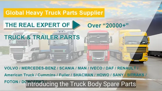 High Quality Sinotruk Spare Parts Bumper Mirror, Mudguard, Foot Pedal, Chassis Parts, Engine Parts Truck Body Accessories FAW J6 HOWO Sitrak C7h Truck Parts 