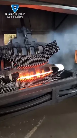 High Quality Guide Arm OEM No. 1769877 for Scania Auto Parts Replacement 