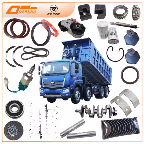 Shacman F2000/L3000/M3000/F3000/X3000 Weichai Wp10/Wp12/Wd12 Cummins Engine 12js160/12js160t/12js180/12jsd200 Fast Gearbox Hande/Str Axle Truck Spare Parts